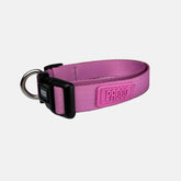 Coleira para Cachorro Aquarela Rosa Pink